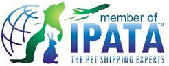 IPATA Member