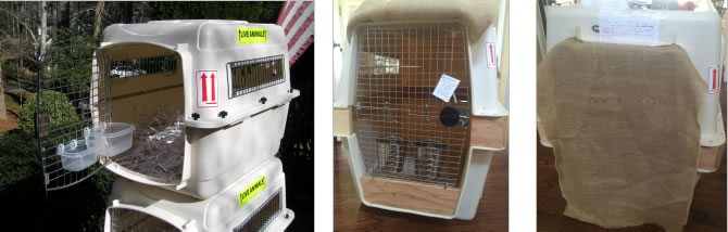 dog crates for flying